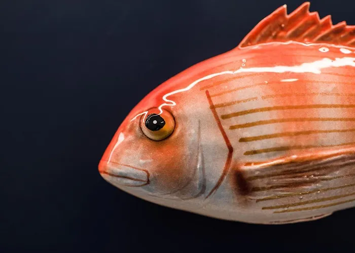 Casa Cicci Centre Bed & Breakfast